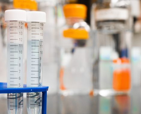 two-test-tubes-954585